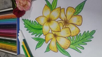 Art:6g-Kelv5ev0= Flower Drawing